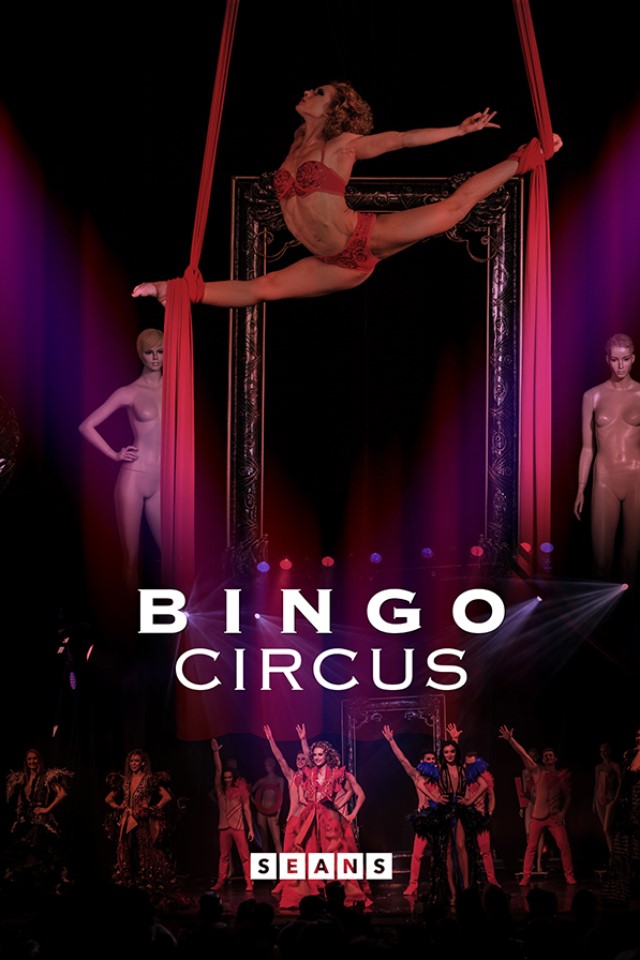 BINGO CIRCUS
